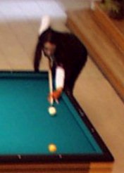 Anklicken zum Vergr��ern - click to zoom